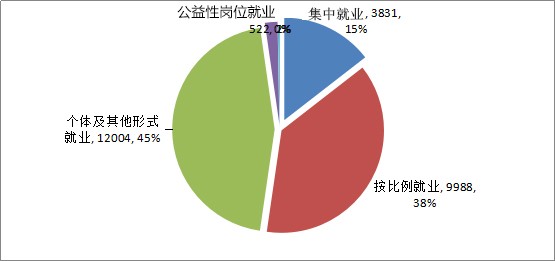 2015年全区残疾人事业发展统计公报(图9)