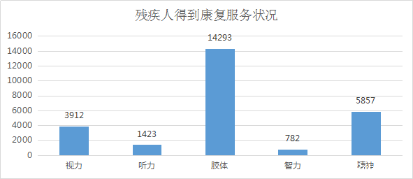 2016年全区残疾人事业发展统计公报(图1)