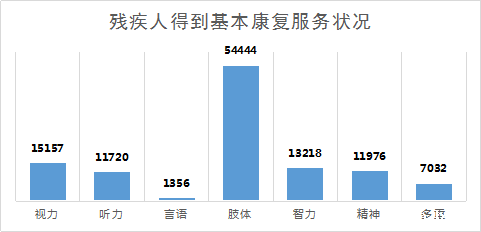 2017年全区残疾人事业发展统计公报(图1)