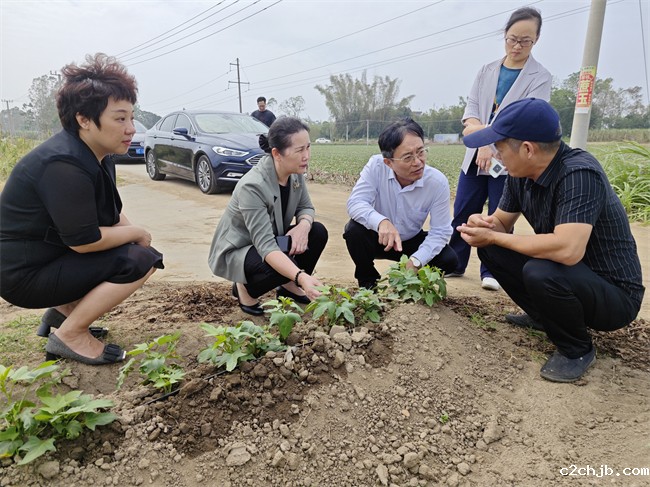 图为调研组在合浦县阳光助残基地调研 图为调研组在合浦县阳光助残基地调研